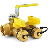 Purge Ball Valves