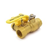 1" NPT Threaded Purge & Fill Ball Valve w/ Hose Drains Webstone Valves