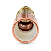 1" Expansion PEX (F1960) x 1" PVC Pipe Adapter, Lead-Free Sioux Chief
